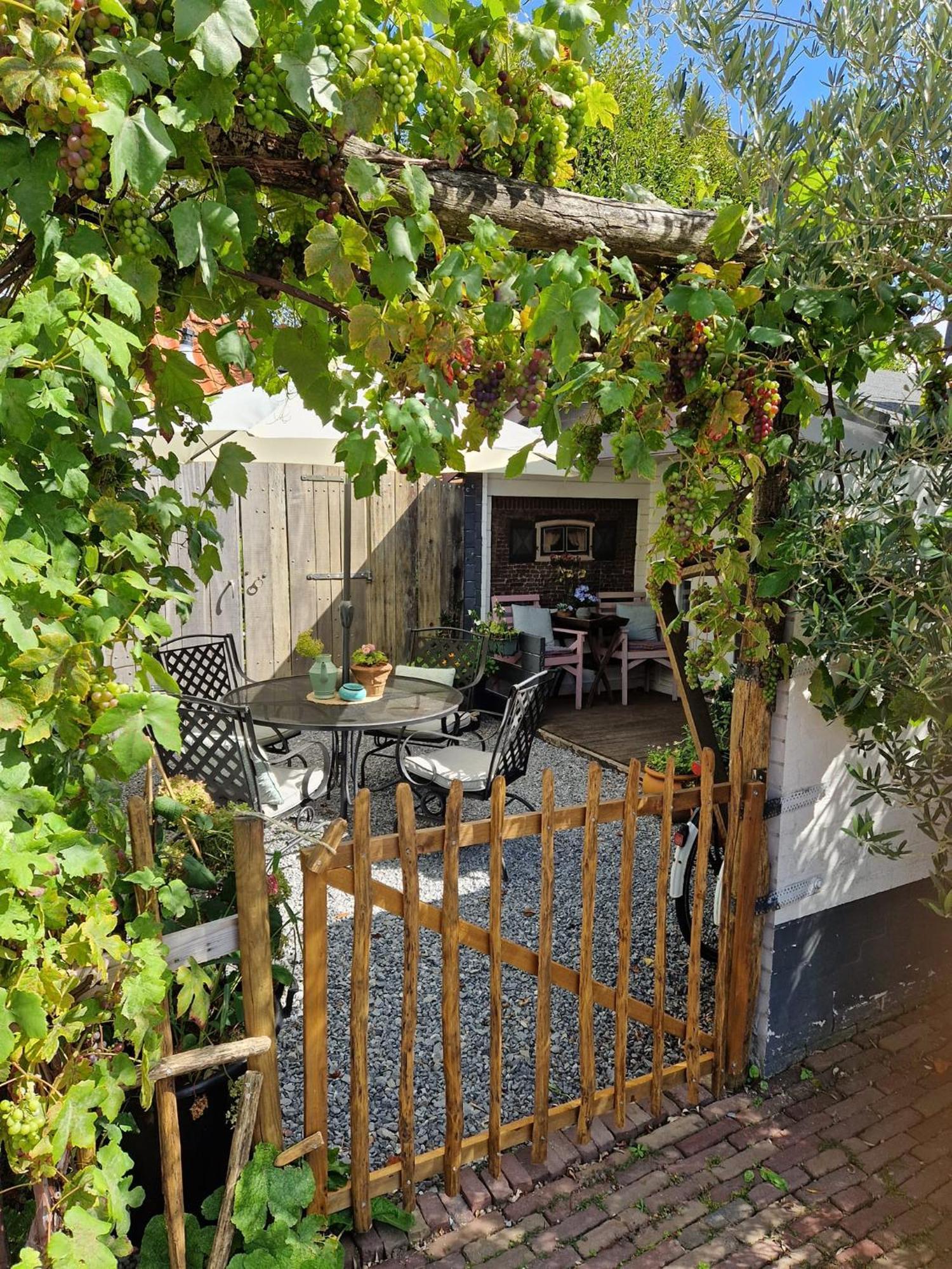 Bed & Bentwoud Bed & Breakfast Benthuizen ภายนอก รูปภาพ